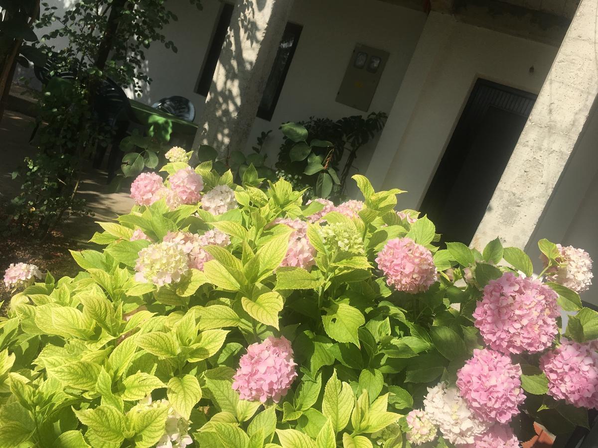 Guesthouse Star モスタル エクステリア 写真